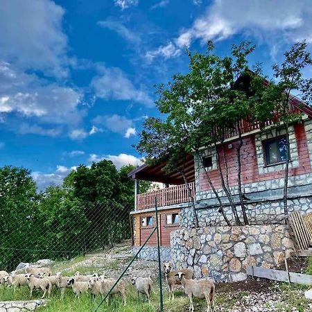 Mountain Village House Цетине Экстерьер фото