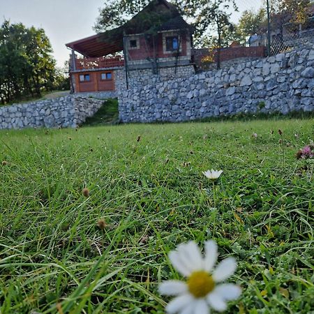 Mountain Village House Цетине Экстерьер фото