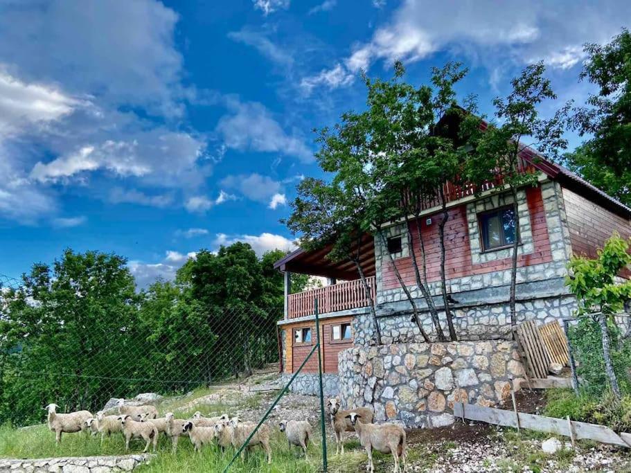 Mountain Village House Цетине Экстерьер фото