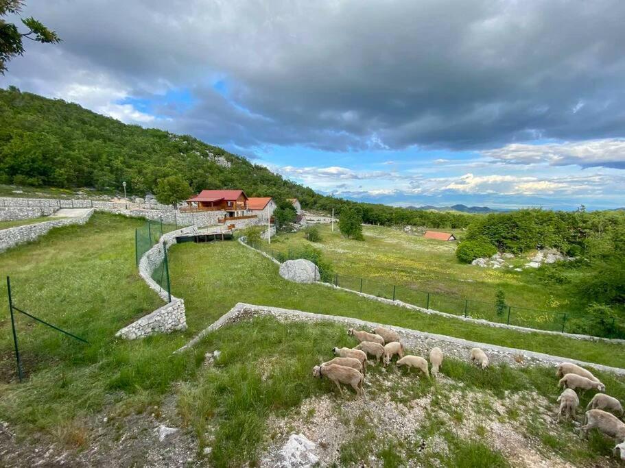 Mountain Village House Цетине Экстерьер фото