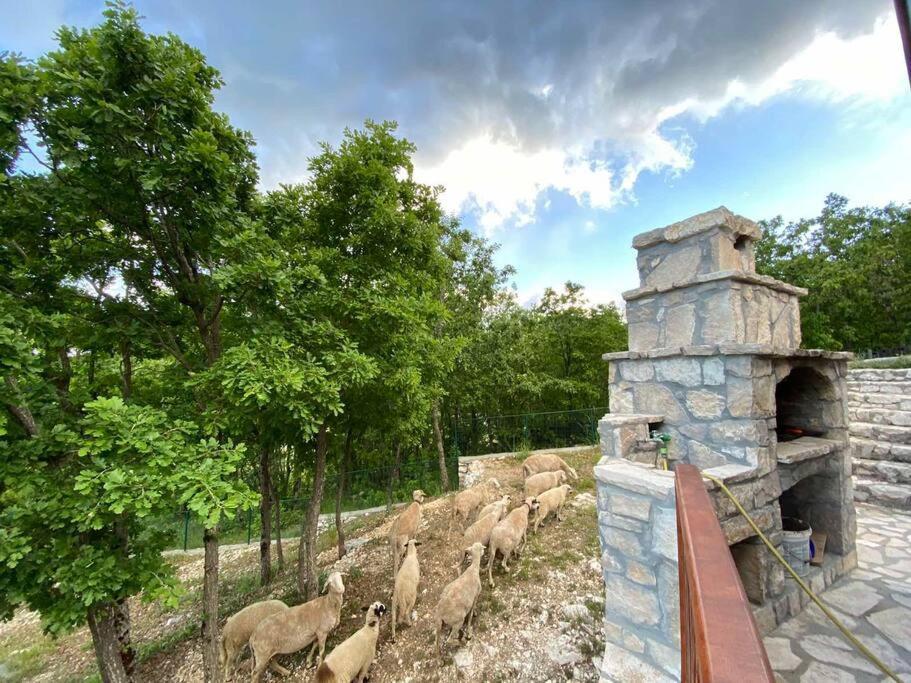 Mountain Village House Цетине Экстерьер фото
