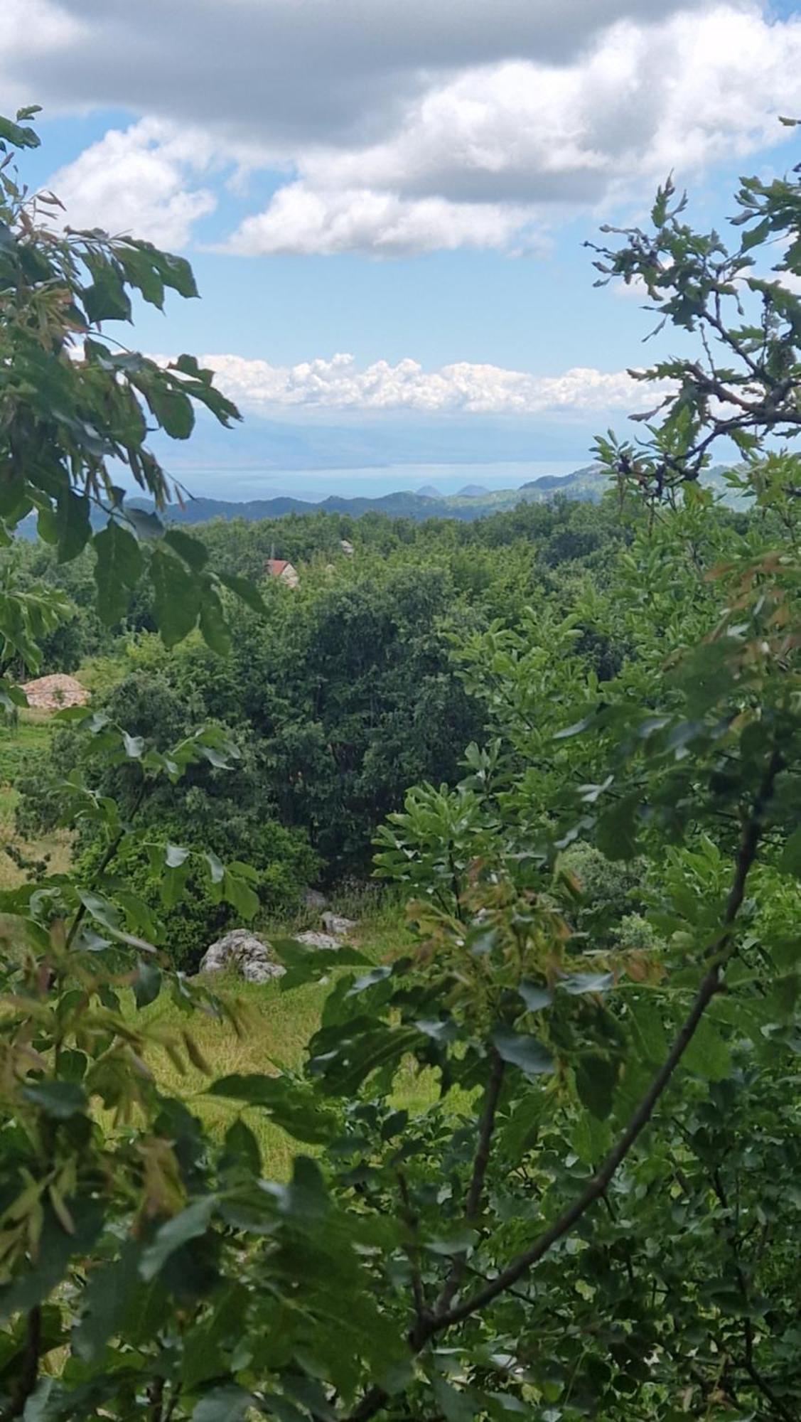 Mountain Village House Цетине Экстерьер фото