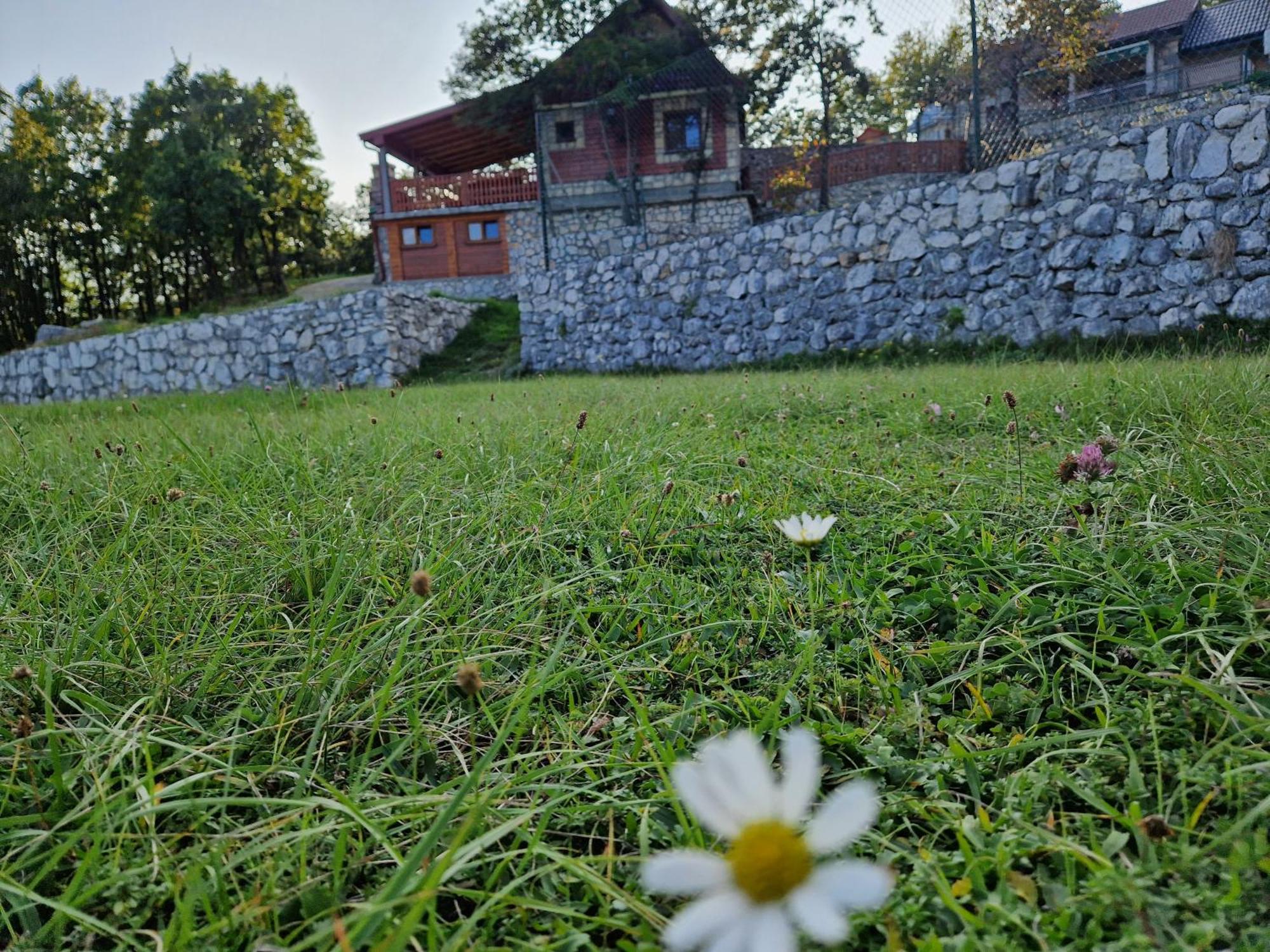 Mountain Village House Цетине Экстерьер фото